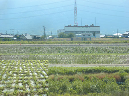 杭瀬川浅西築堤工事・木曽川上流河川事務所