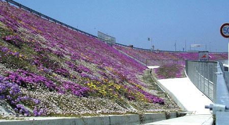 知多横断道路