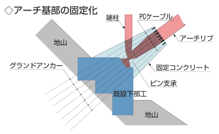 A[`̌Œ艻