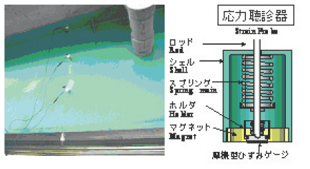 ͒fɂ包̒T