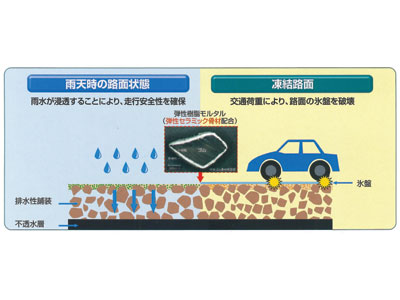 出展者画像