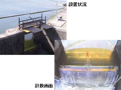 出展者画像
