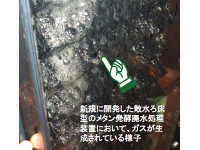 出展者画像