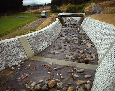 ���C���摜