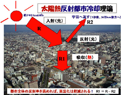 C摜